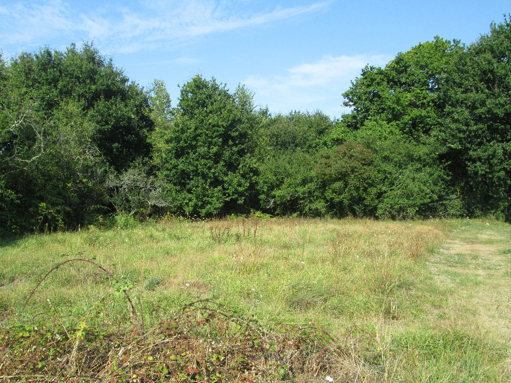 TERRAIN A BATIR A VENDRE - MORBIHAN - FEREL TERRAIN A BATIR A VENDRE - MORBIHAN - FEREL