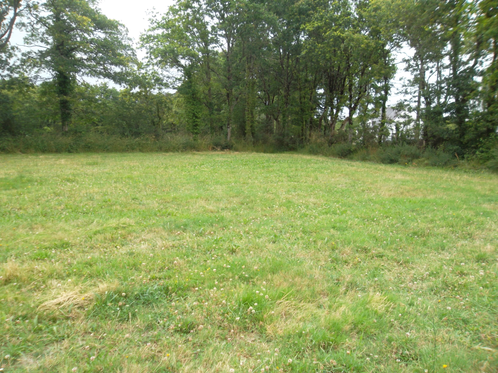 TERRAIN A BATIR A VENDRE - MORBIHAN - FEREL TERRAIN A BATIR A VENDRE - MORBIHAN - FEREL