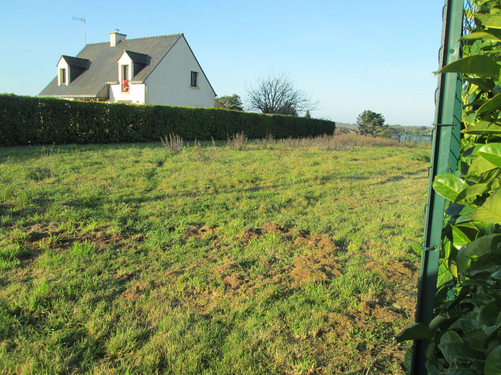 Achat Vente Terrain Nivillac Terrain A Vendre A Nivillac Agences Reunies