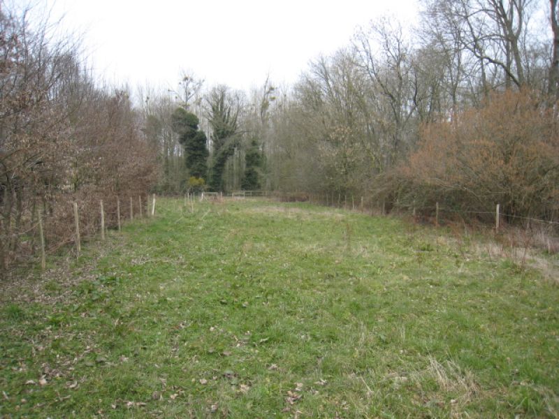 Terrain Langrolay Sur Rance 3250 m2