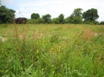 Terrain Langrolay Sur Rance