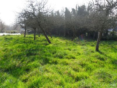 Terrain Nevez 970 m2