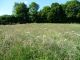 Terrain Kernevel 1546 m2