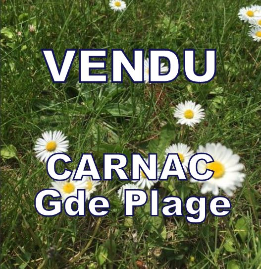 Rare, terrain constructible proche plage à CARNAC 817 m² Rare, terrain constructible proche plage à CARNAC 817 m²