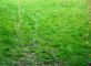 Terrain constructible de 250m� Saint Malo