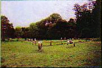 TREVEREC - MINI SURFACE OF LEISURES WITH POND AND RIVER