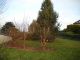 PLOUEZEC - TERRAIN CONSTRUCTIBLE
