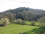Manor house for sale