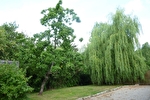 Close to Saint Nicolas du Pelem - 3 bedroom property