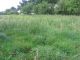 PAIMPOL - 10 KMS - BUILDING PLOT FOR SELL - CLOSE TO THE SHOPS -