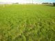 Terrain  650 m2