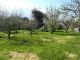 St Quay, 2 buildings land of 800 m�