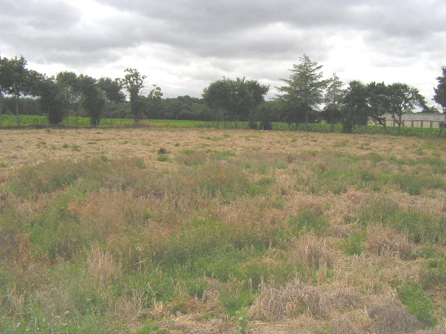 LE MERZER - A VENDRE TERRAIN CONSTRUCTIBLE