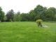 Lantic, proche centre, terrain � batir hors lotissement