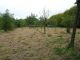 Moncontour 8 km, 20 mn des Plages, Ancien moulin � vendre, d�pendances, plans d'eau, + de 2 hectares
