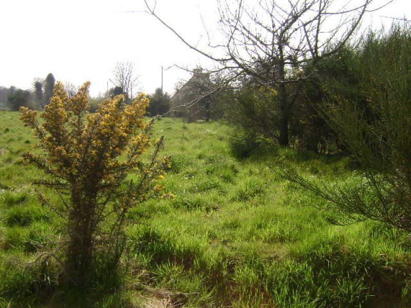 Terrain Tredias 2725 m2
