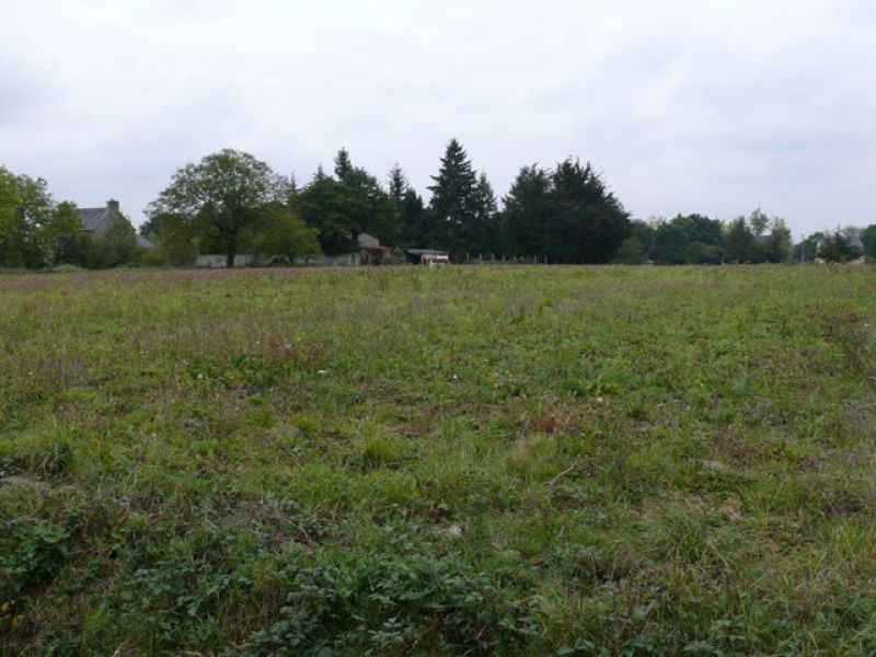 SAINT ANDRE DES EAUX, hors lotissement : beau terrain de 846m�