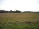 TERRAIN CONSTRUCTIBLE A ST HELEN - REF 12458