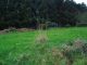 Terrain � am�nager