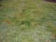 Terrain Saint Briac Sur Mer 618 m2
