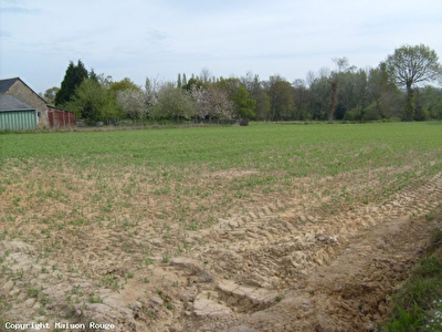 TERRAIN PLANCOET