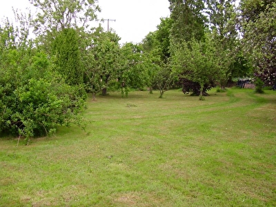 Terrain AUCALEUC � b�tir REF 11328