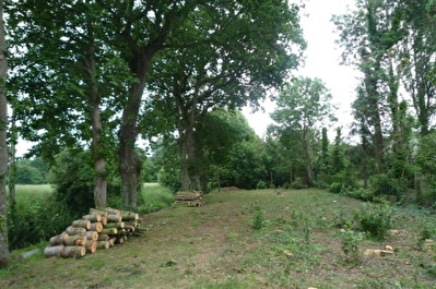LE MINIHIC - Petit terrain constructible