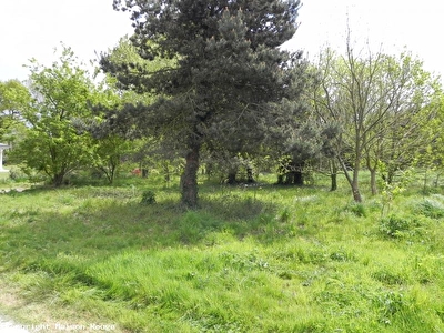 TERRAIN CONSTRUCTIBLE A LANGROLAY - REF 13195-