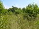 TERRAIN PLANCOET 2000 m�