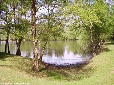 TERRAIN DE LOISIR AVEC ETANG BOIS  - REF 13325-