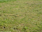 TERRAIN CONSTRUCTIBLE PLANCOET