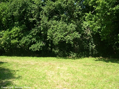 Terrain Saint Briac Sur Mer 2200 m2