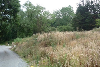 LA RICHARDAIS, 5 mn de DINARD, environnement bois�