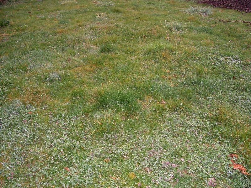 Terrain Dinard