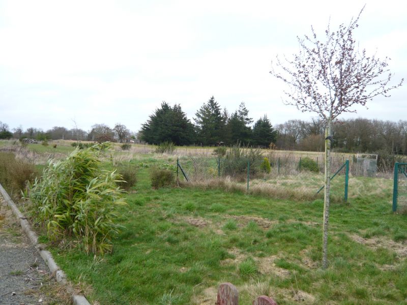 SAINT ANDRE DES EAUX TERRAIN CONSTRUCTIBLE DE 1000 M2