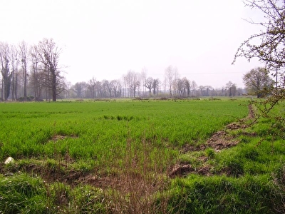 TERRAIN CONSTRUCTIBLE SUD DINAN