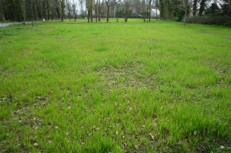 ST BRIAC - 780 m� environnement bois� 2,5 kms plage