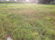 TERRAIN CONSTRUCTIBLE PROCHE SAINT CAST