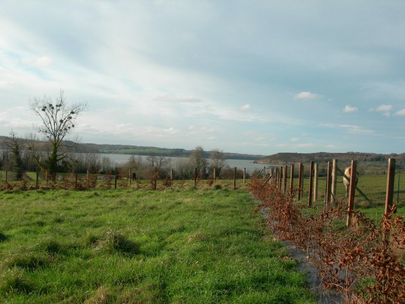 Terrain BORD DE RANCE