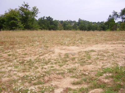 TERRAIN CONSTRUCTIBLE A LEHON 820 M2