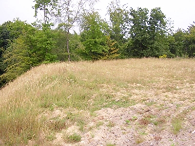 TERRAIN CONSTRUCTIBLE A LEHON DE 604 M2