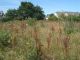Terrain Saint Briac Sur Mer 653 m2