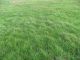 TERRAIN PROCHE PLANCOET