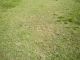TERRAIN PROCHE MER