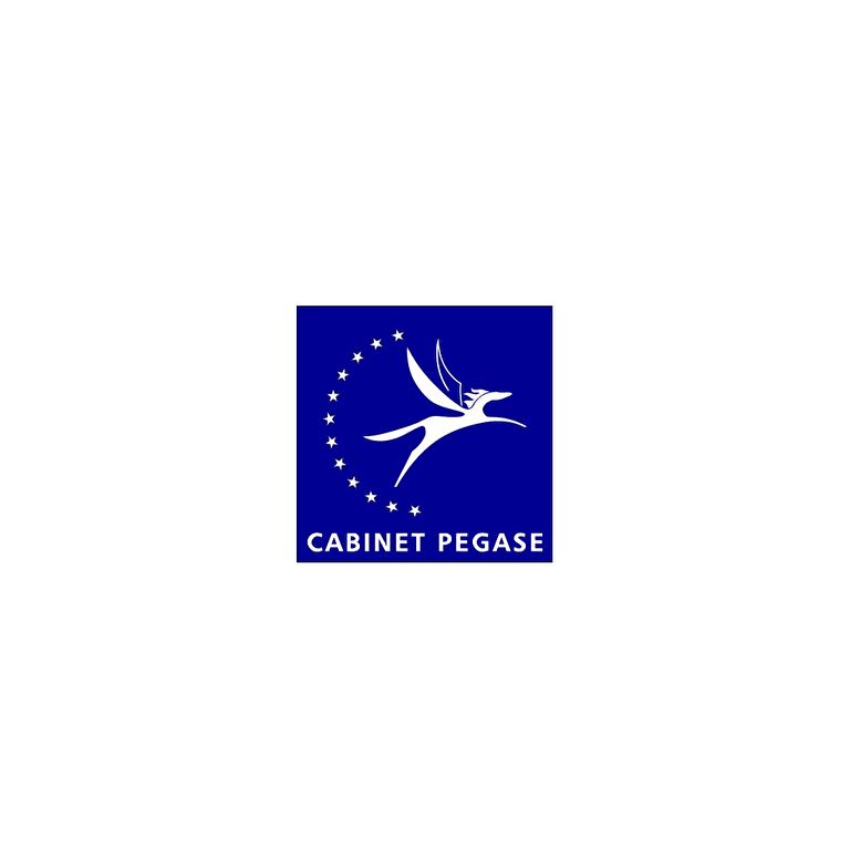 Local commercial N°1 Brest 480 m² Triangle d'Or Local commercial N°1 Brest 480 m² Triangle d'Or