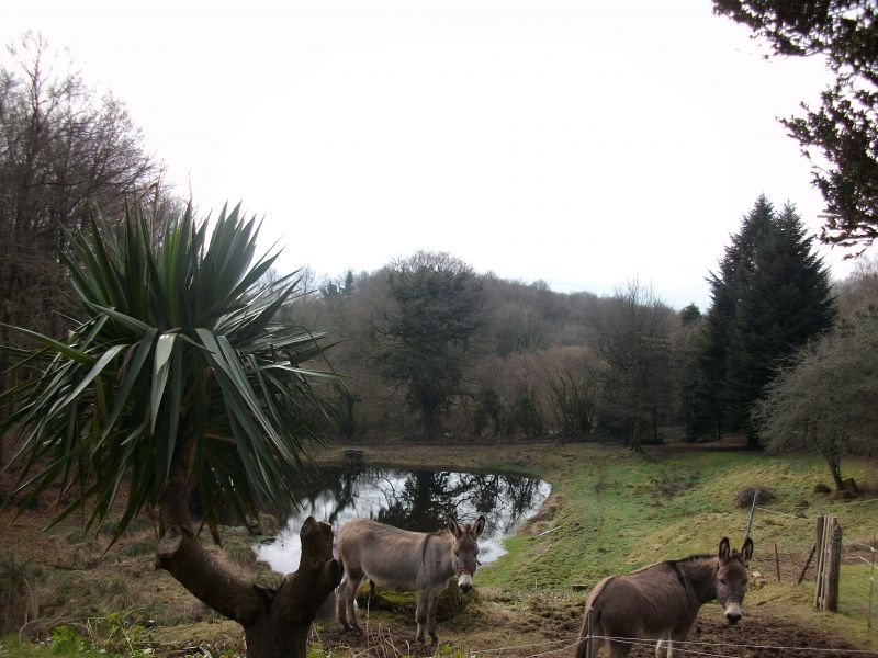 Belle maison en pierres de taille  belle vue sur campagne