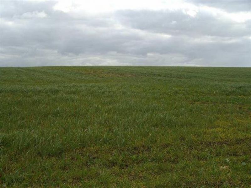 Terrain � b�tir Dol De Bretagne - 446.00 m2