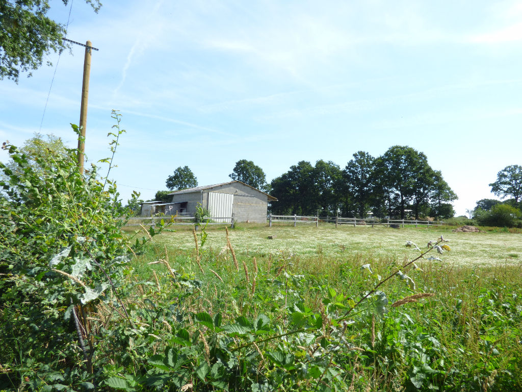 Terrain Proche Sens De Bretagne 13000 m2 avec un bâtiment en parpaing Terrain Proche Sens De Bretagne 13000 m2 avec un bâtiment en parpaing