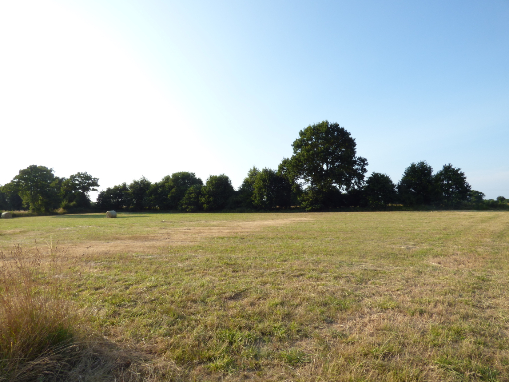 Terrain à Bâtir à 5 MIN DE SENS DE BRETAGNE 691 m² Terrain à Bâtir à 5 MIN DE SENS DE BRETAGNE 691 m²