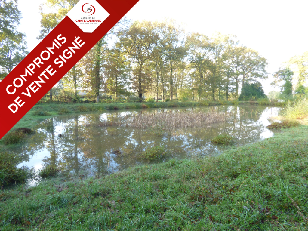 Etang Sens De Bretagne Etang Sens De Bretagne